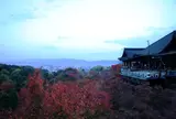 早朝の清水寺