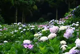 千光寺