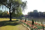洞峰公園