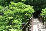 花貫渓谷