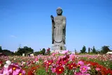 牛久大仏