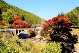 道の駅豊根グリーンポート宮嶋