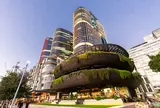 Barangaroo House