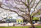 Barracks Reserve Paddington