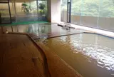 伊香保温泉　黄金の湯館