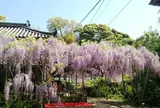 太江寺　伊勢