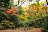 国立科学博物館附属自然教育園