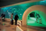 新潟市水族館 マリンピア日本海