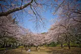 哲学堂公園