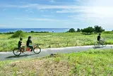 国営ひたち海浜公園