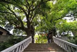 山王神社二の鳥居（一本柱鳥居）
