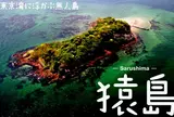 猿島