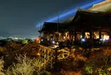清水寺 (Kiyomizu-dera Temple)