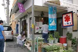 日本一 かき氷