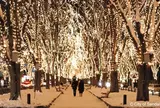 光のページェント12月開催 仙台光のページェント