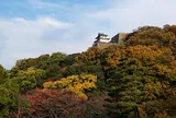 丸亀市
