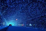 金ケ崎緑地