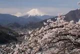 岩殿山
