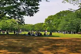 代々木公園