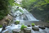 男池湧水群