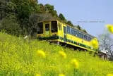 いすみ鉄道　　　なのはな鉄道乗車