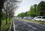 秋ケ瀬公園