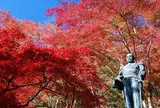 東郷公園 