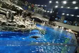 すみだ水族館