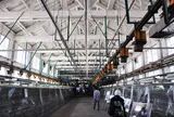 富岡製糸場