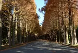 富士教育研修所