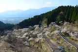 高森峠の九十九曲り