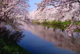 水郷小見川観光協会