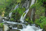 吐竜の滝