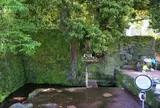 上の川湧水
