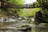 祖谷のかずら橋