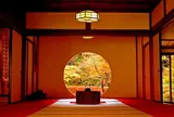 明月院（あじさい寺）