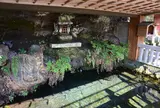 鏡ケ池