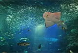 新江ノ島水族館