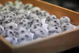 出町ふたば