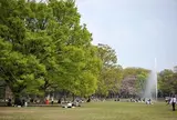 代々木公園