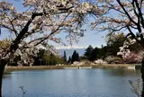 駒ヶ根高原一帯