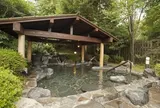 立ち寄り温泉 伊豆高原の湯