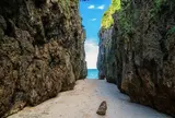 備瀬のワルミ