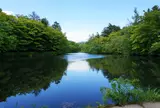 雲場池