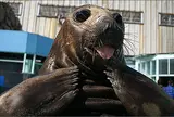 二見シーパラダイス