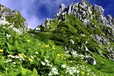 駒ケ岳