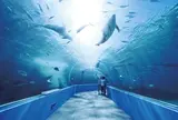 のとじま臨海公園水族館