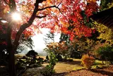 興聖寺