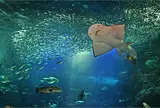 新江ノ島水族館
