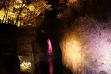 高千穂峡ライトアップと神楽を楽しむ高千穂ナイトツアー